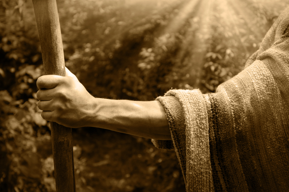 Látni a láthatatlant